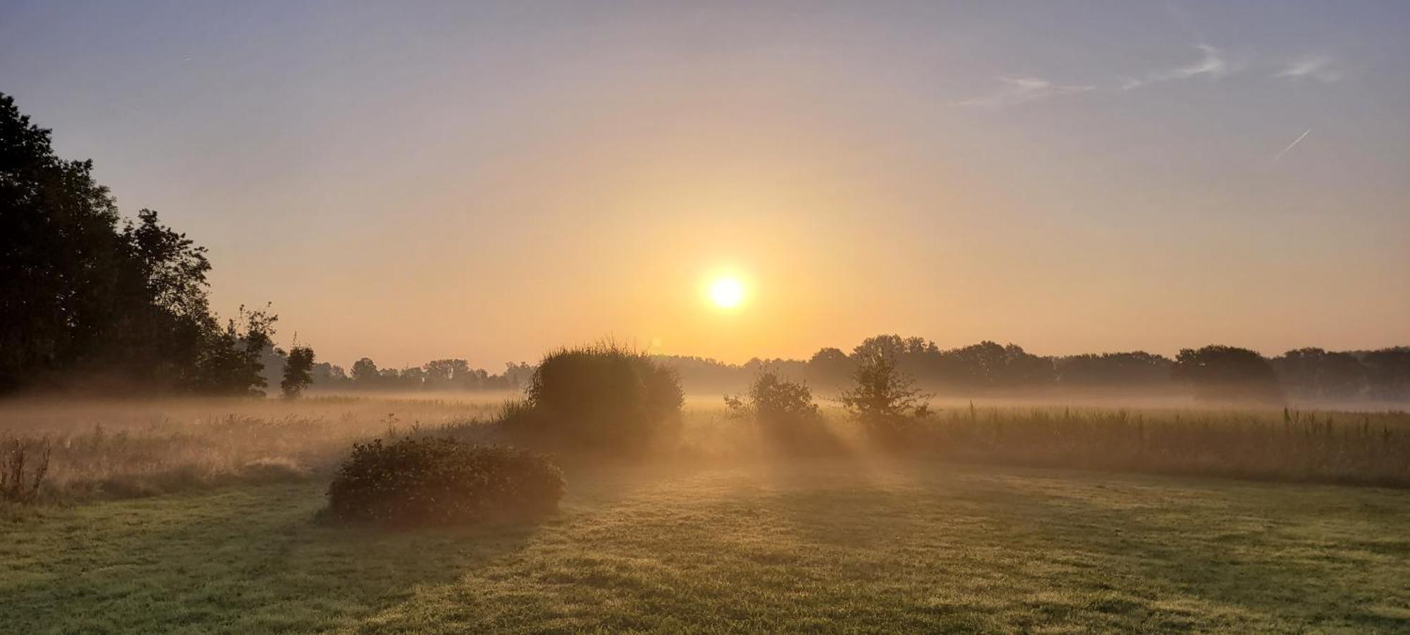 B&B D'Hollehoeve Heist-op-den-Berg Exterior foto